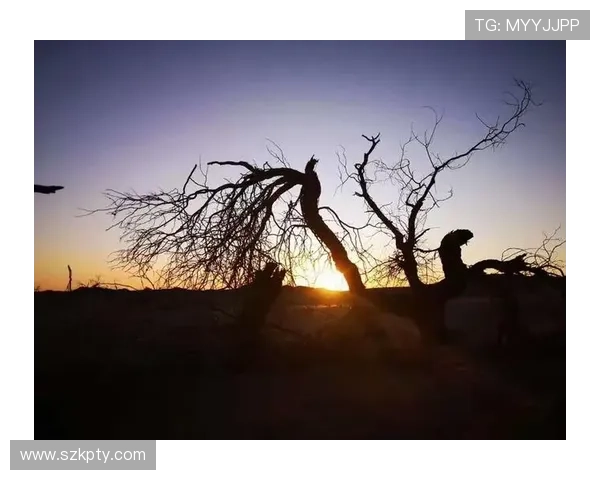 东丽湖畔,情深几许?一场关于“爱”的温柔絮语 东丽湖畔,情深几许?一场关于“爱”的温柔絮语