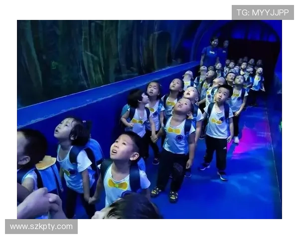 智勇大冲关：一场突破极限的探险之旅